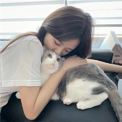 冒牌刺客